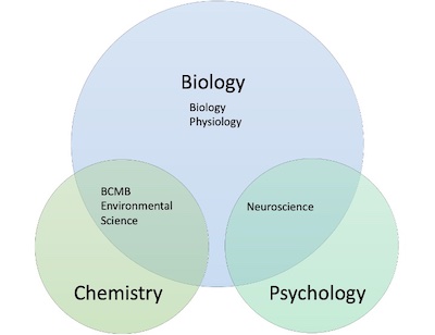 Venn diagram of how biology intersects with other majors like physiology, biochemistry, cell and molecular biology, and neuroscience.